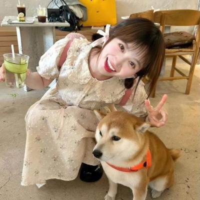 时光骇客